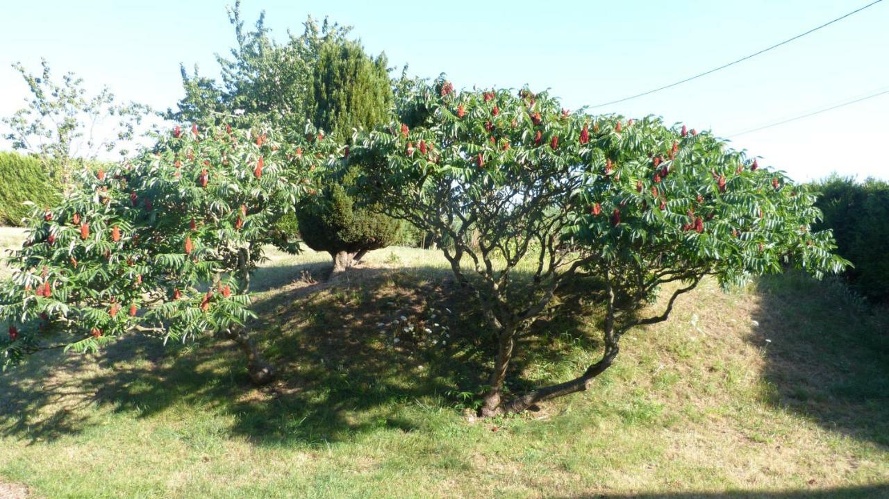 La Maison De Ners Pertheville-Ners Kültér fotó